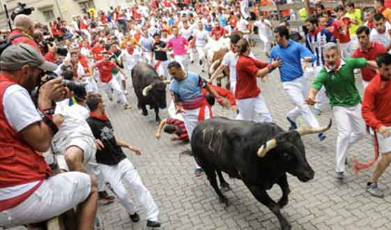 Running of the Bulls in Spain